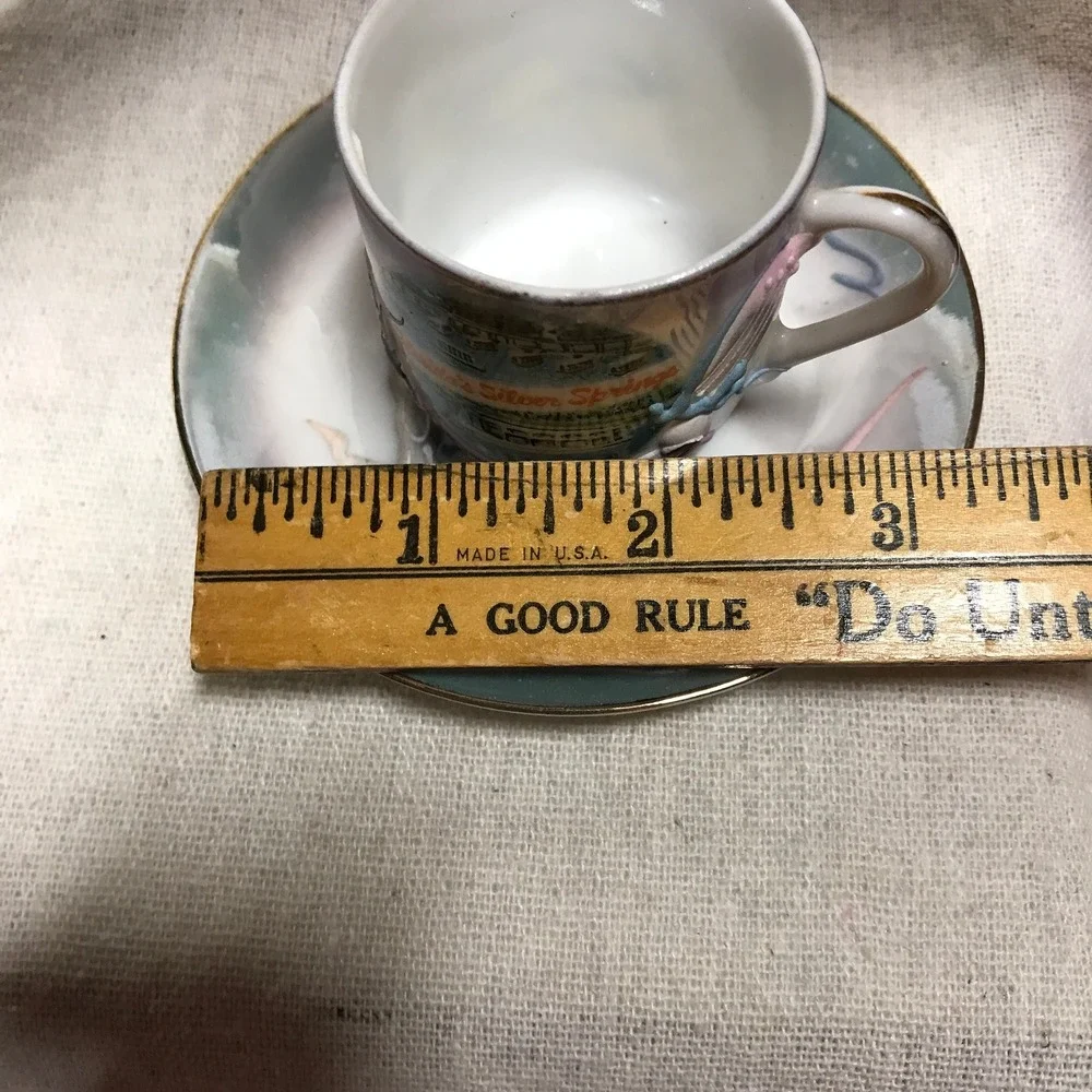 N/A florida silver